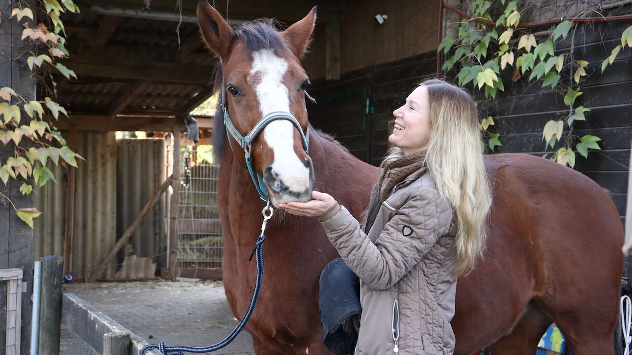 Cornelia Mayer mit Pferd Tamino