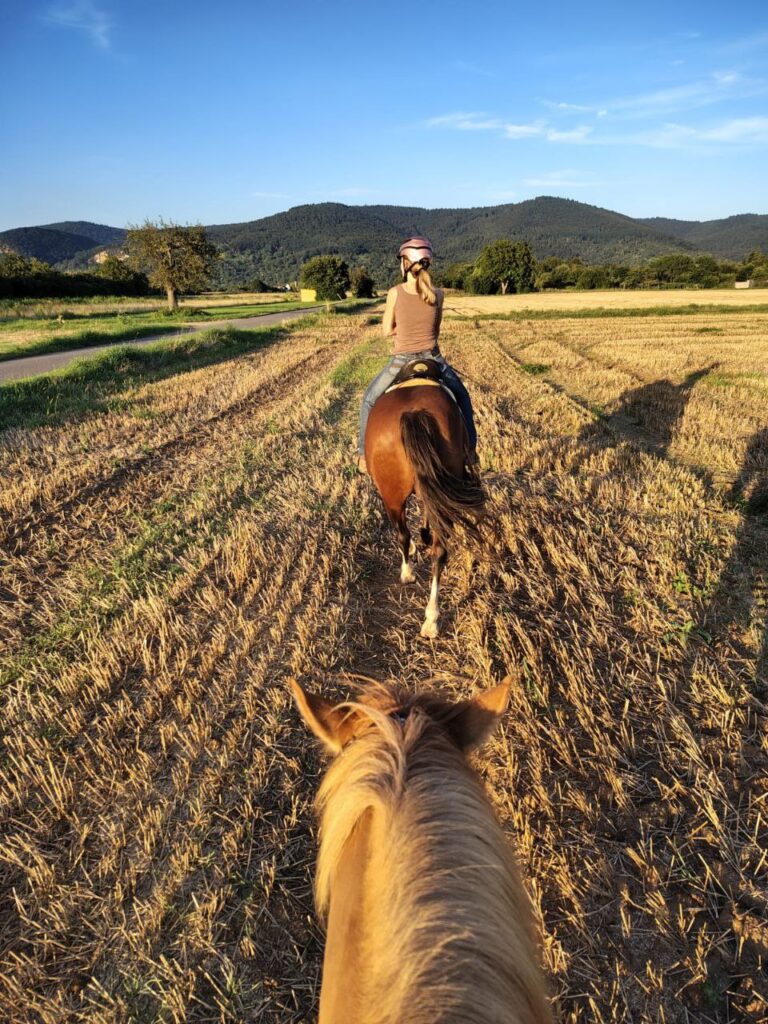 Gemeinsam Ausreiten