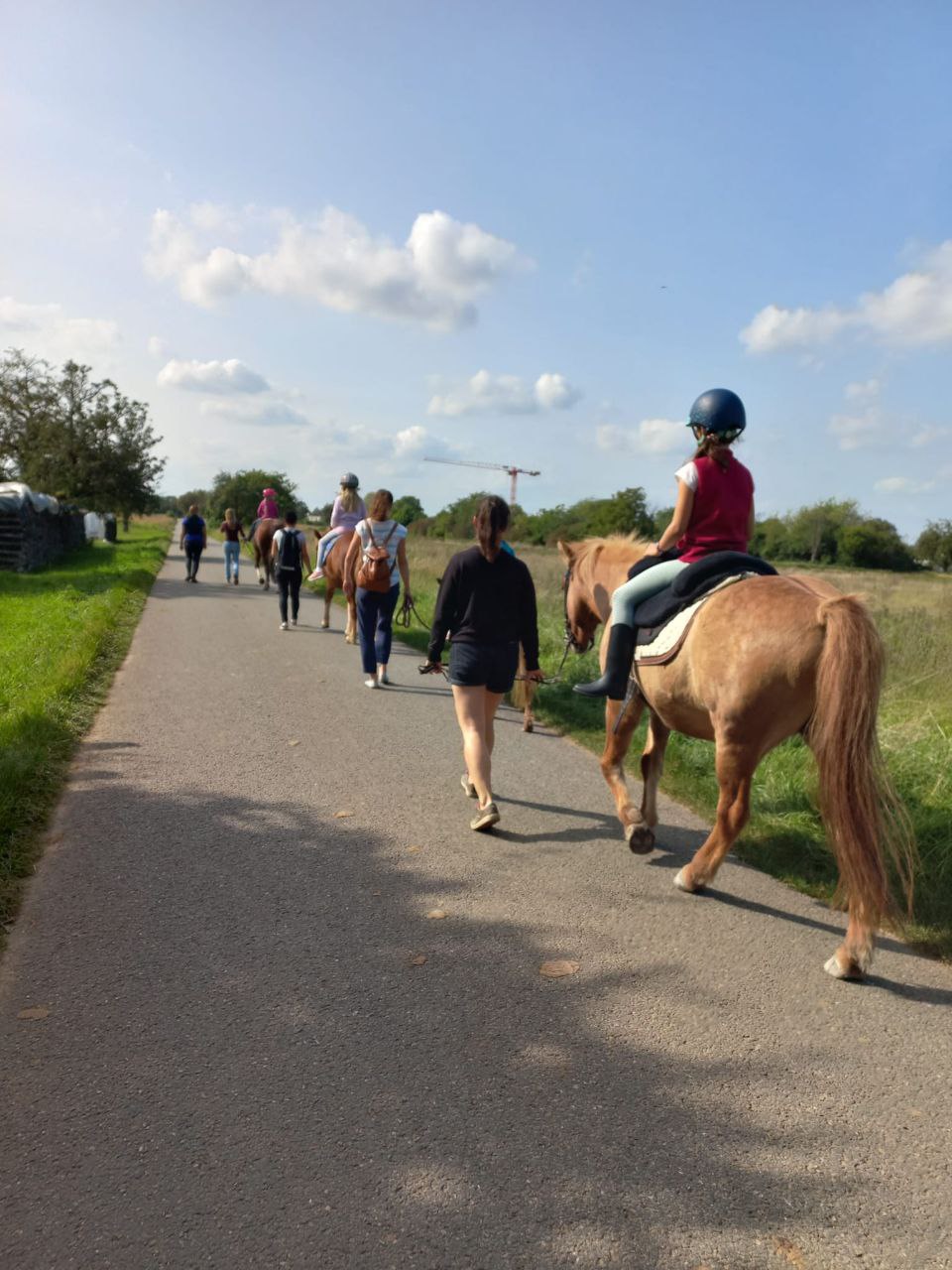 Ponykurs für Kinder