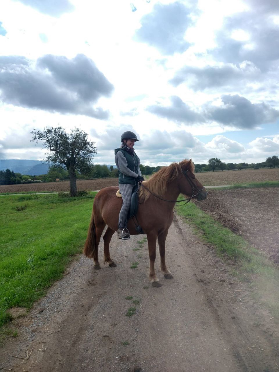 Ausritt auf dem Pferd