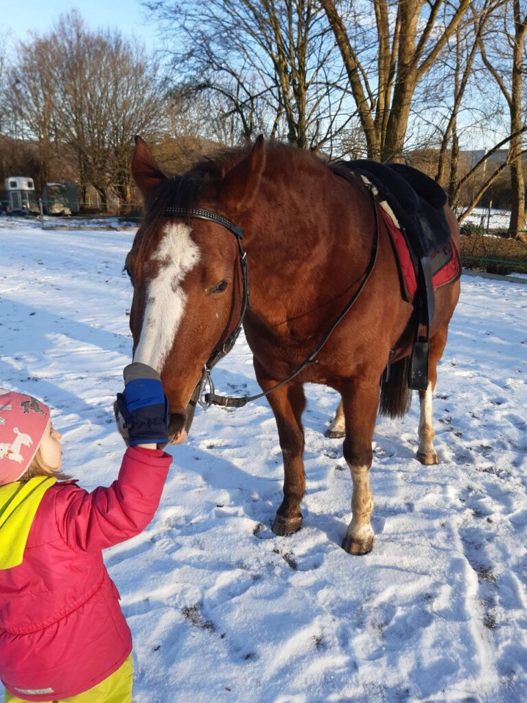 Kind streichelt Pferd