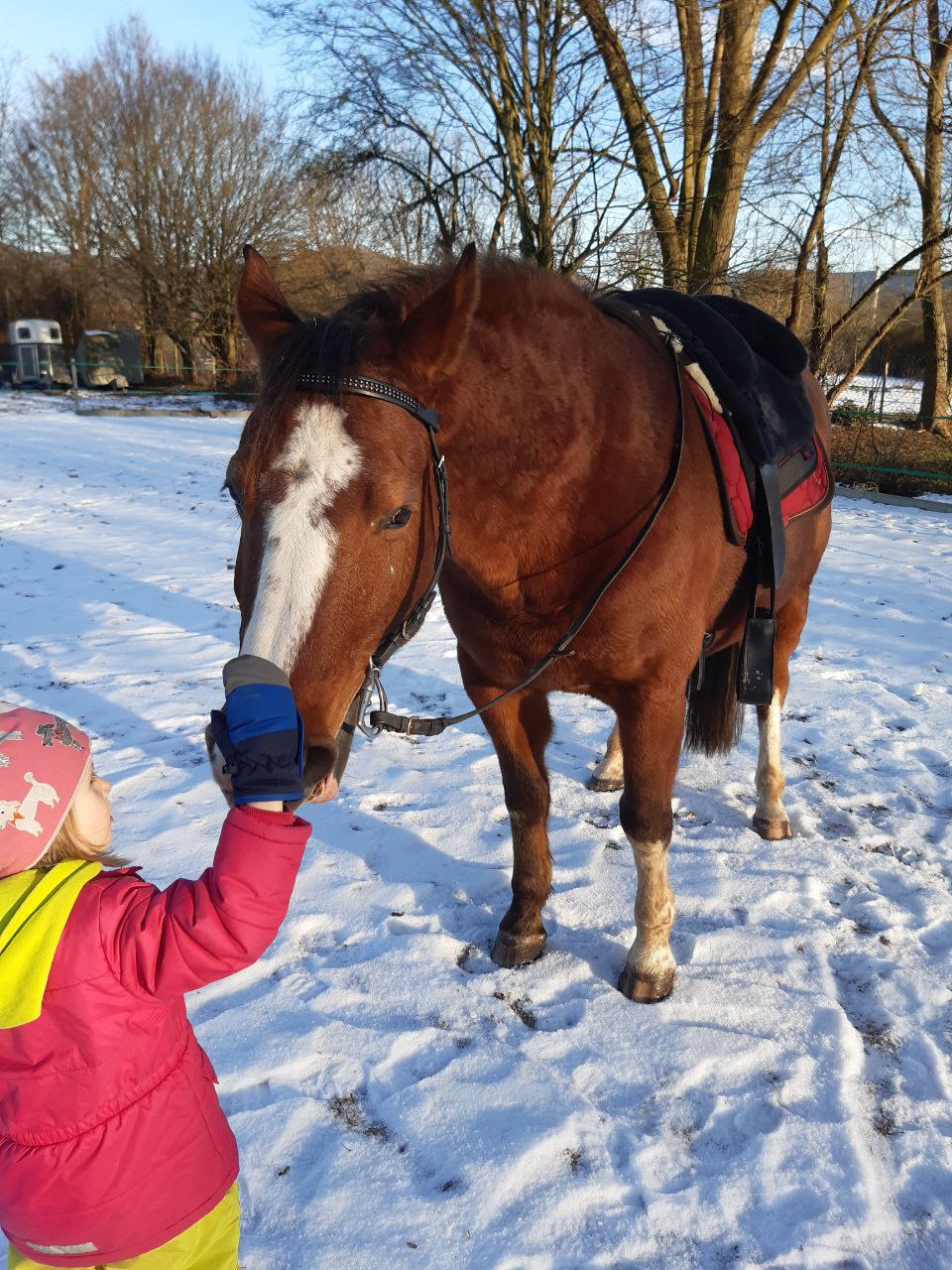 Kind streichelt Pferd