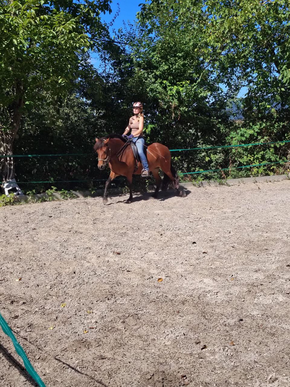 Reitunterricht auf em Reitplatz