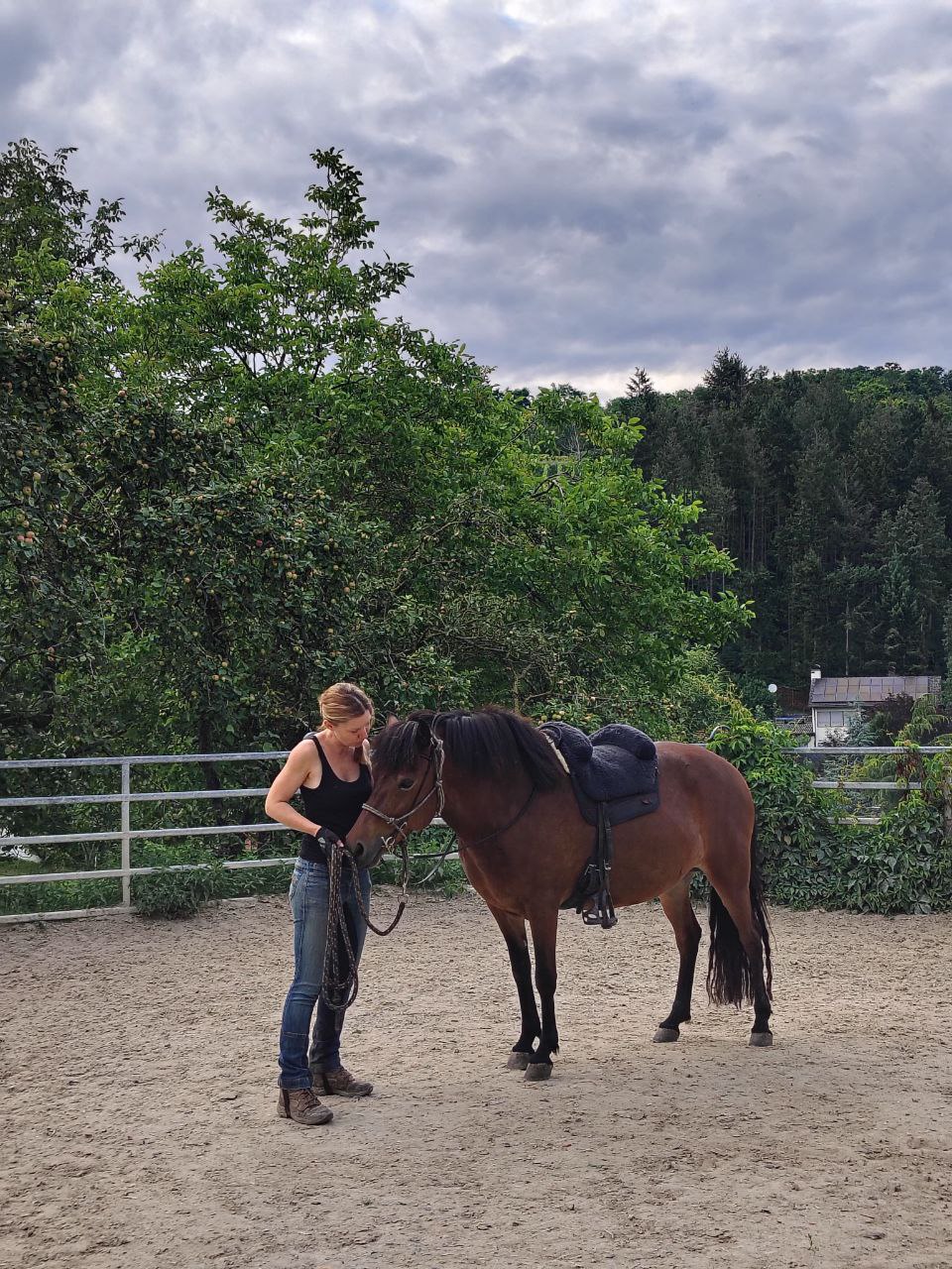 Pferd auf dem Reitplatz