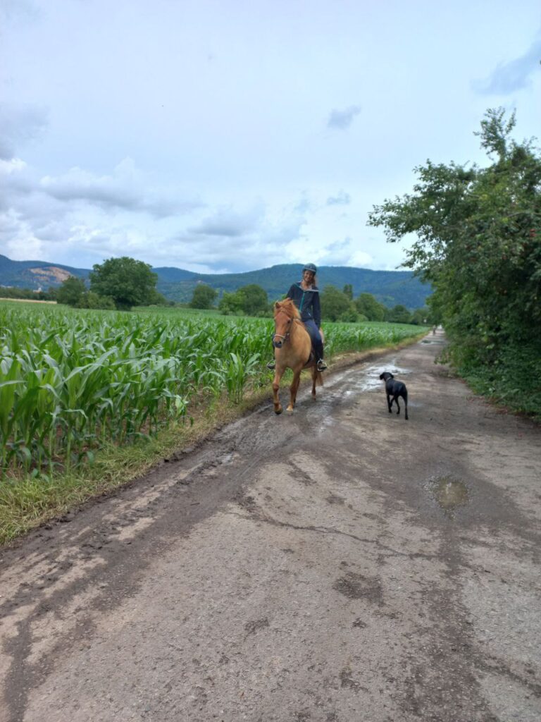 Ausritt auf dem Pony