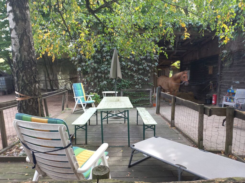 Pferd am Pferdehof Sonnenweide