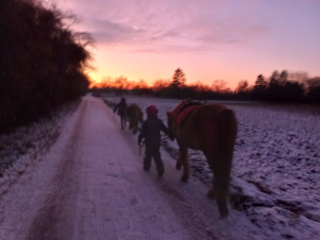 Ponykurs im Winter