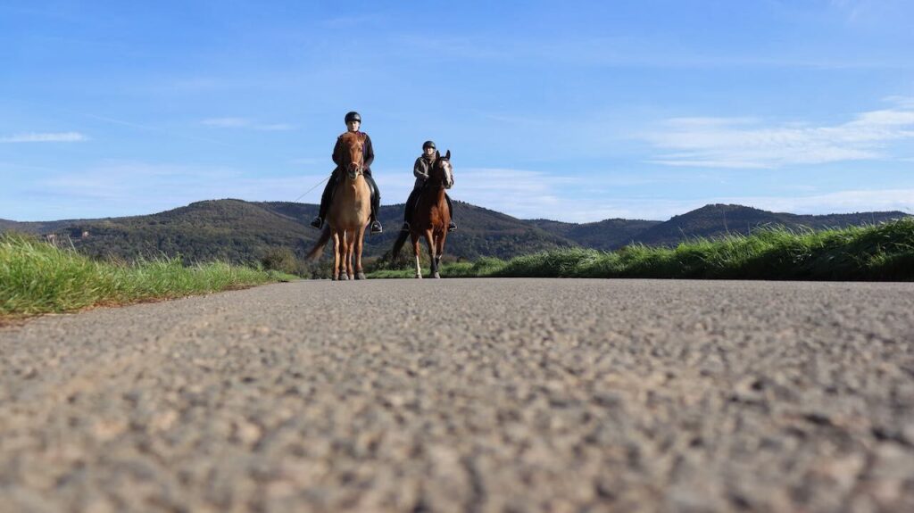 Ausreiten im Tölt mit Isländern