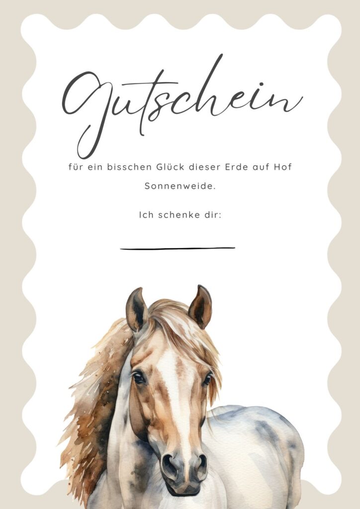 gutschein ausreiten heidelberg