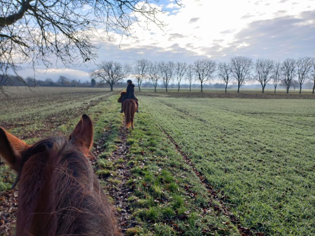 Reitunterricht auf dem Handschuhsheimer Feld in Heidelberg