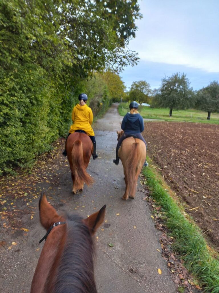 Ausritt zu Dritt in Heidelberg