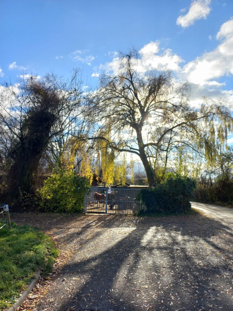 Eingang Hof Sonnenweide